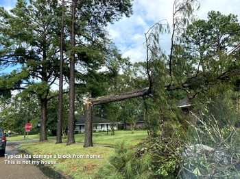 Hurricane Ida damage